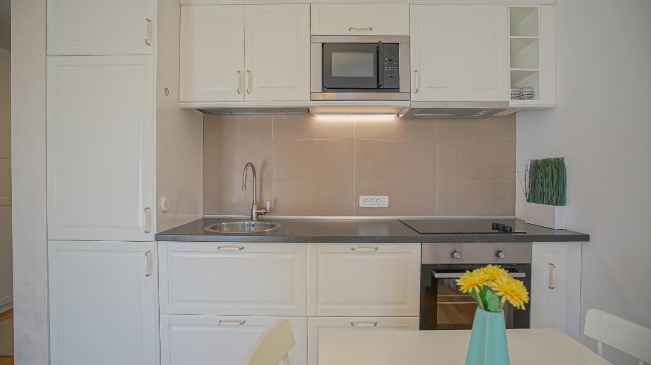 Downtown Premium Apartments Braşov Dış mekan fotoğraf