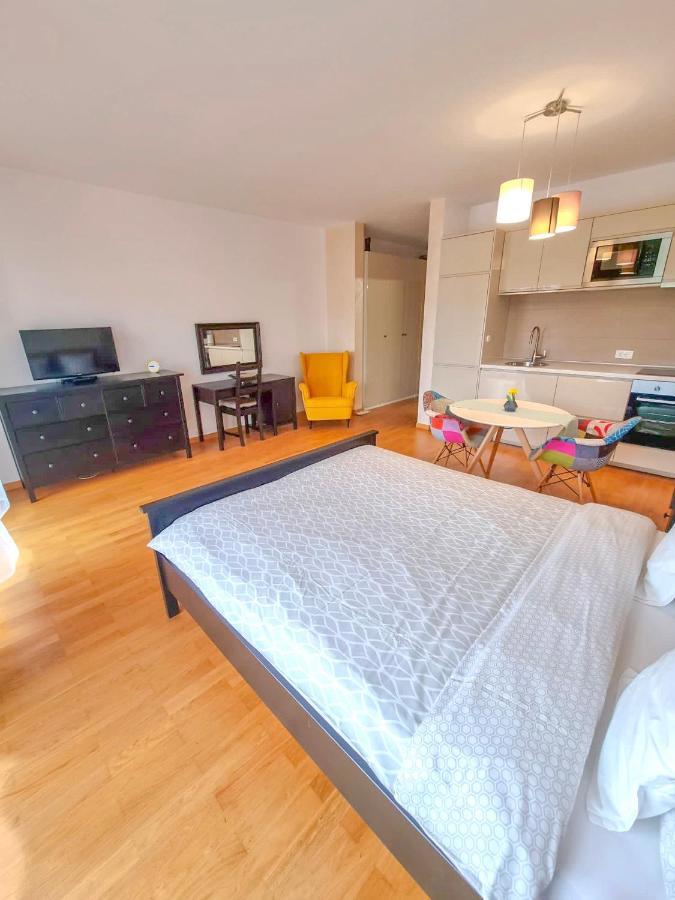 Downtown Premium Apartments Braşov Dış mekan fotoğraf